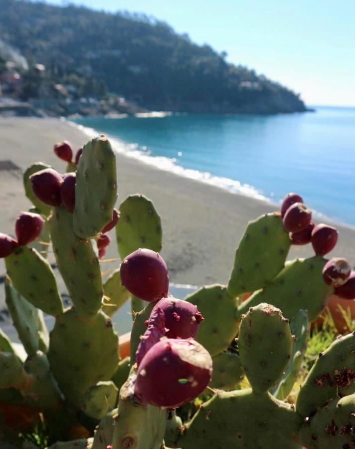 Il Nido Da Chiara Hotel La Spezia Kültér fotó
